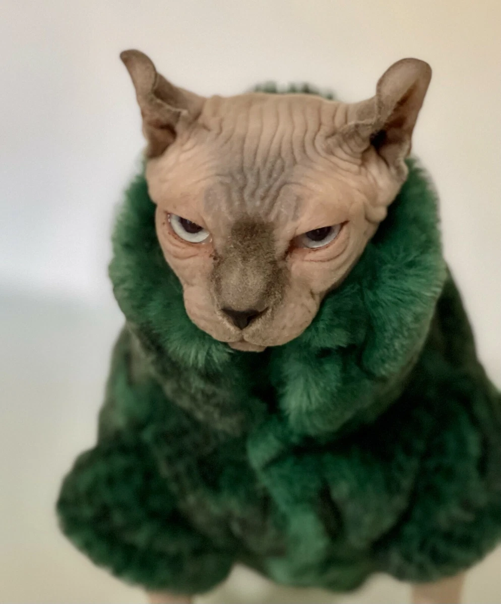 Glamorous Green Fur Coat for Hairless Cat, Clothes for Dwelf Cat