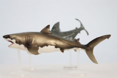 PNSO Cretoxyrhina Aidan Model Ocean Animal Shark Collector