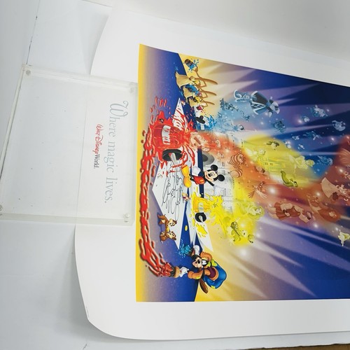Walt Disney World Dove Vive la Magia Litografia 2006 24x18 - Foto 2 di 12