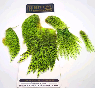 Whiting American Rooster Cape Grizzly Dyed Fluorescent Green *PARTIAL* WH5