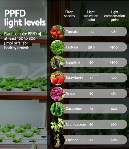 2025 Phlizon 1200W LED Grow Light Full Spectrum for Veg Bloom 0.6x0.6m Grow Tent - Picture 3 of 12