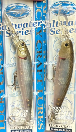 (2) Lucky Craft Pointer 100DD Deep Diver Suspending Jerkbait -Salty Ghost Minnow - Picture 2 of 10
