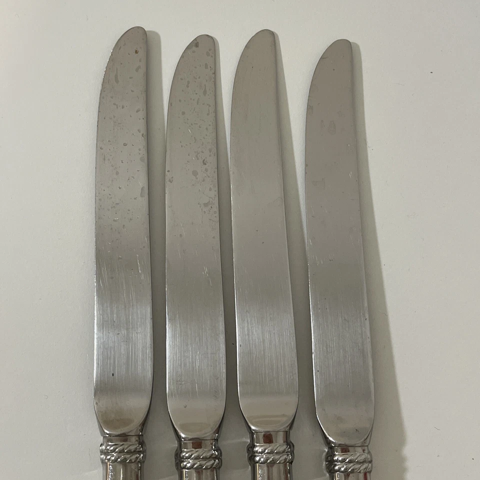批量 4 件 Cipullo 适用于 Mikasa AMORE 不锈钢中空晚餐刀 #1 — 第 2/4 张图片