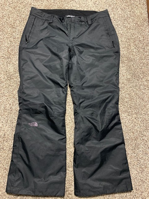 north face urban navy pant