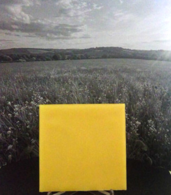 1 oz sheet, Ohio 100% Pure Beeswax Filtered  No Additives, Fillers, or Dyes