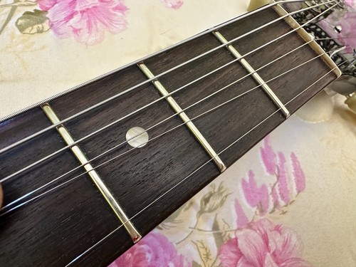2005 Gibson Les Paul Special Ebony - Foto 7 di 24