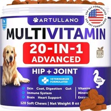 Dog Multivitamin Chewable with Glucosamine 20 in 1 Dog Vitamins Supplements-120p