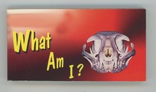 What Am I? / Winking Cat Meow! MOTION FLIP Book New
