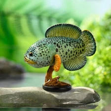 Animal Heavenly Body Barca Snakehead Fish Statue Channa Barca
