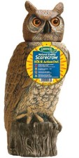 SOL-R ACTION OWL