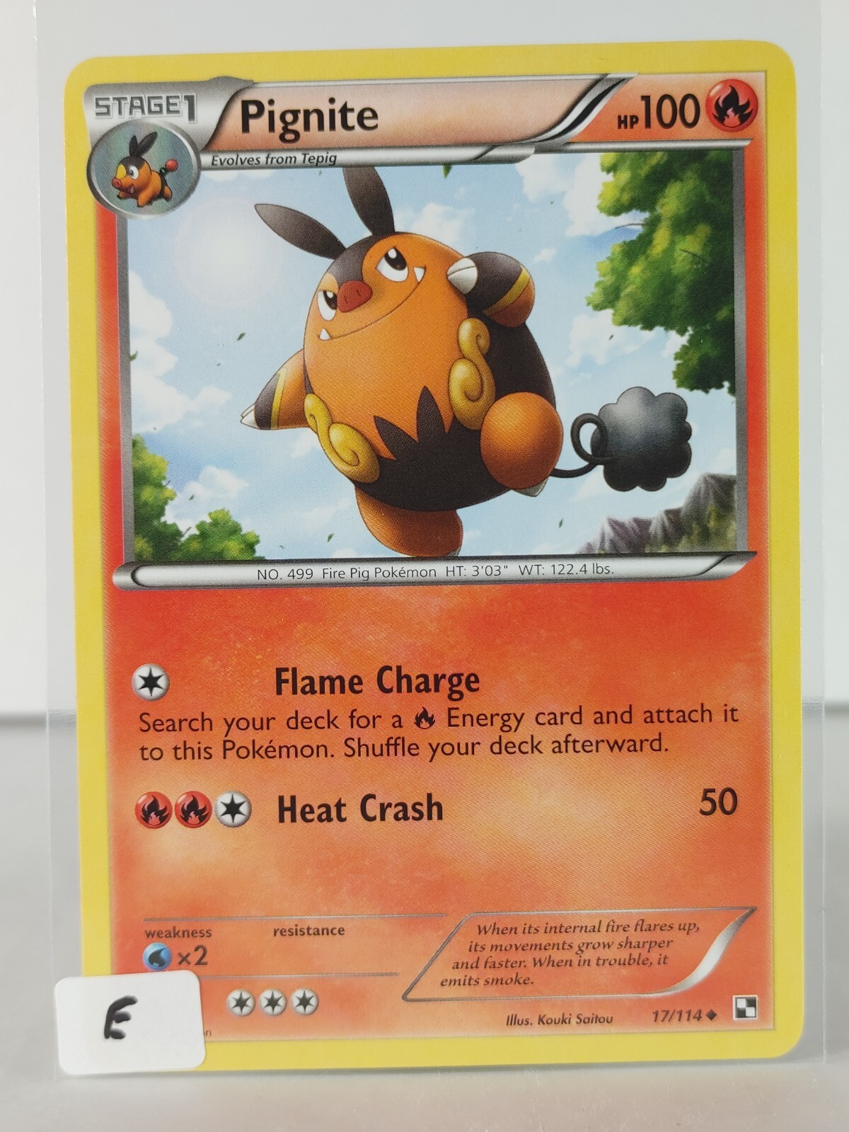 Pignite - Black & White - 17/114 - Pokemon TCG - Uncommon