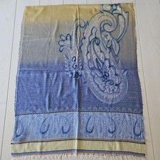 ETRO Scarf F5