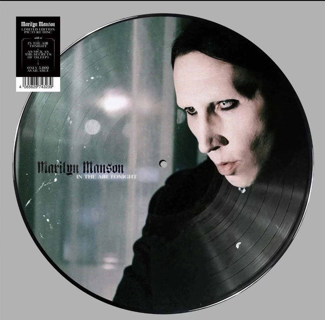 Preços baixos em Discos de vinil disco de foto de Marilyn Manson