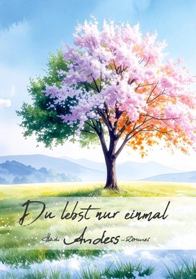 Du lebst nur einmal | Heidi Anders-Donner | Taschenbuch | 268 S. | Deutsch
