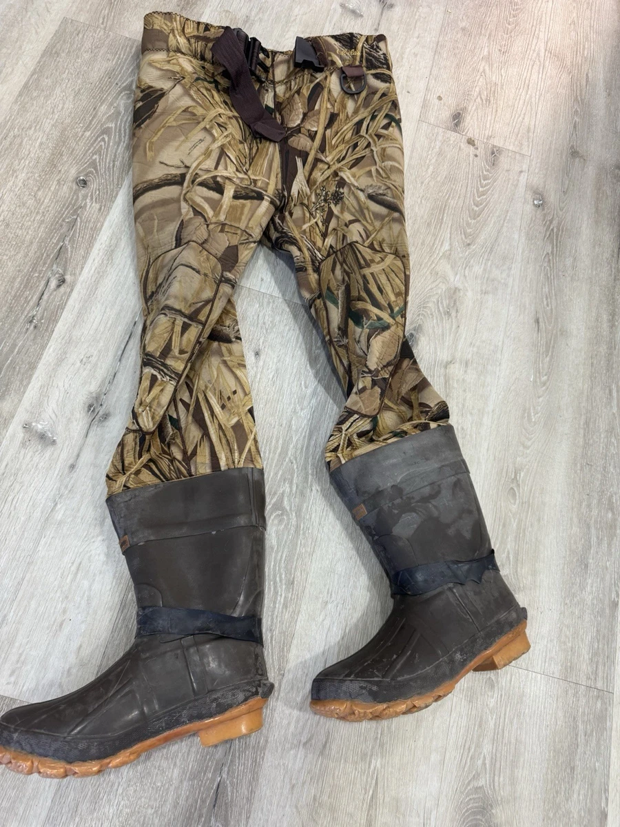 Cabela display picture 2