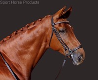 Shp Hanoverian Dressage & Training Bridle With Fully Adjustable Drop Noseband Shp Hanoverian Dressage & Training Bridle With Fully Adjustable Drop Noseband