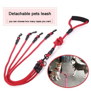 multi dog leash