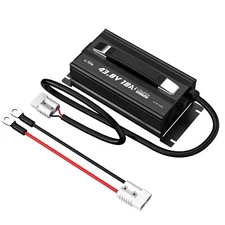 LiTime 36 Volt (43.8V) 18A LiFePO4 Lithium Golf Cart Battery Charger Mountable