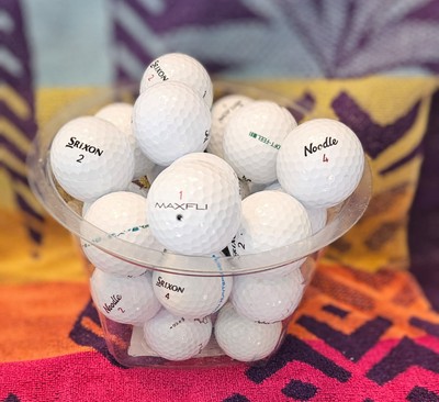 Assorted Brands By Maxfli/Srixon/Noodle-Grade 3A Used-Recycled Golf Balls Ct #29