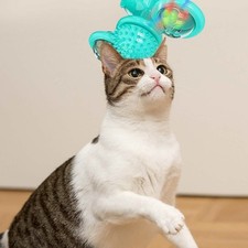 Interactive Massage Scratching Tickle Toy With Catnip And Led Ball For Indoors