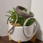 Picture 2 of 9