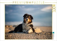 Calvendo Puzzle An Australian Shepherd Is Lying On The Beach | 1000 Pieces, Fini