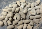 Civil War Original Archaeological Dug Relic Lot from Northern Virginia!