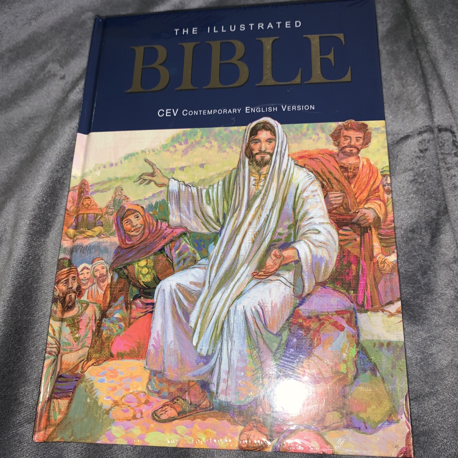 Illustrated Family Bible by Jose Perez Montero (2004, Hardcover) for