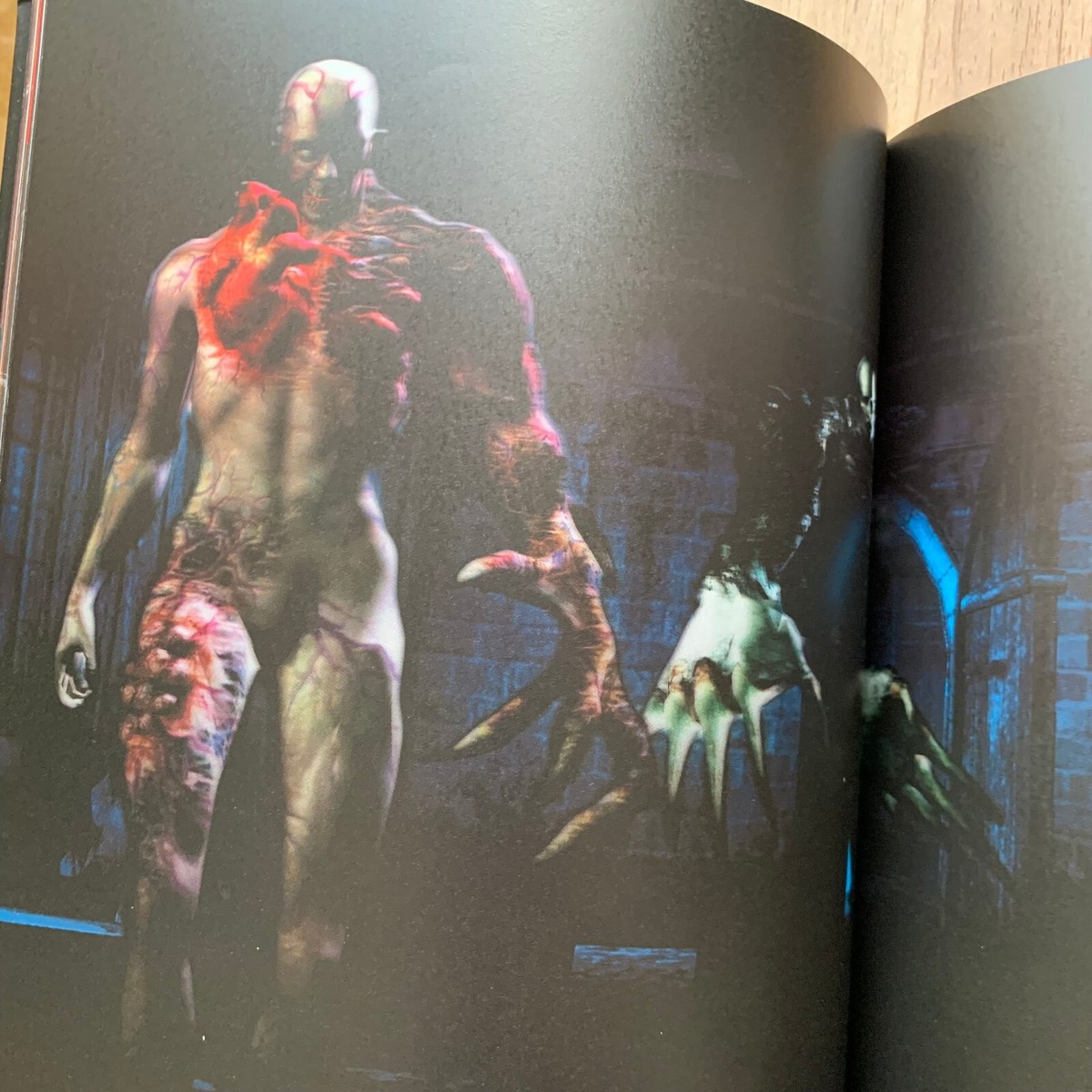BIOHAZARD Resident Evil The Umbrella Chronicles Art of Arts Visual