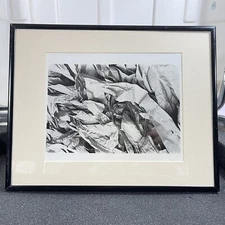 Medium Original Modern Contemporary Photograph  Fine Art FRAMED One Of A Kind