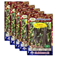 Purple Winged Bean Seeds Asian Cooking Backyard Home Garden Herb Vegetables x5