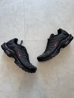 Nike Air Max Plus TN Metal Mesh Shoes