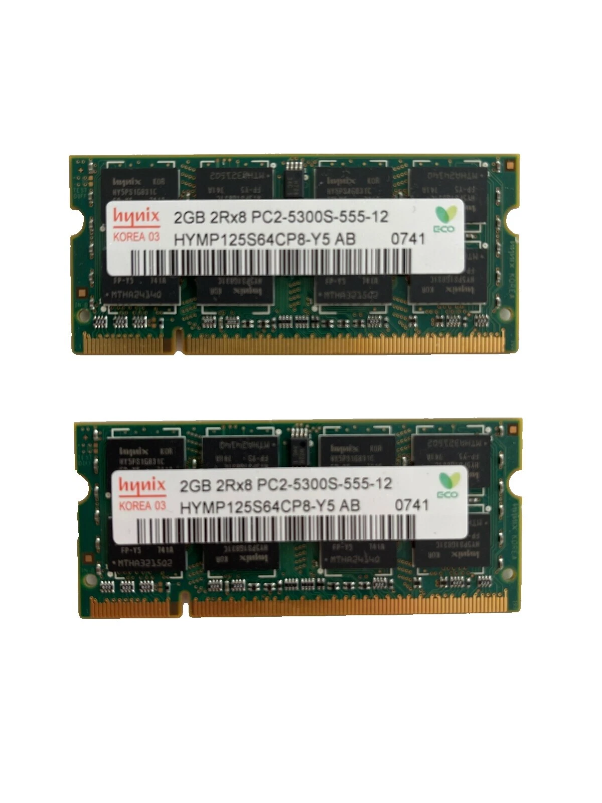 Hynix 2 GB Computer RAM 4 GB Total Capacity