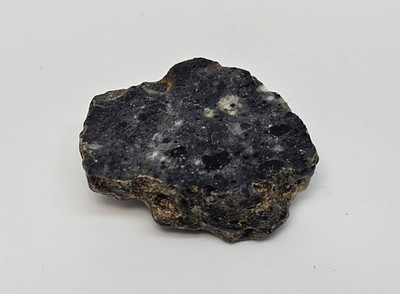 4.6 grams 24mm Bechar 003 Lunar Meteorite Moon Polished End Cut w/ COA