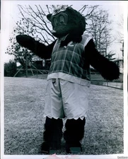 1971 Additional Attraction Mr Bear Appears At Southeastern Show Event 8X10 Photo