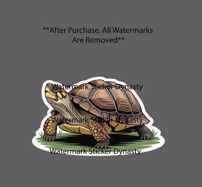 Box Turtle Sticker Waterproof Decal Animal Pet Friend Outdoor Wildlife Gift NEW