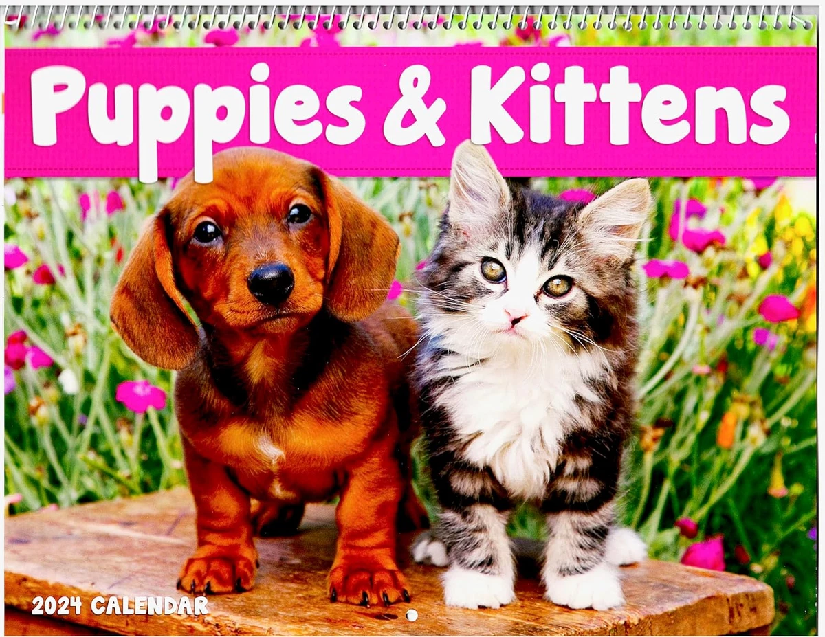 Puppies and Kittens Calendar | 2024 Wall Calendar Puppy and Kitty Wall  Calendar, | eBay