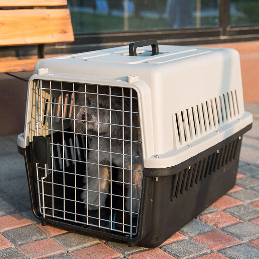 Cat carrier outlet uk