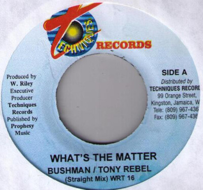 Bushman  / Tony Rebel - What's The Matter (7'')