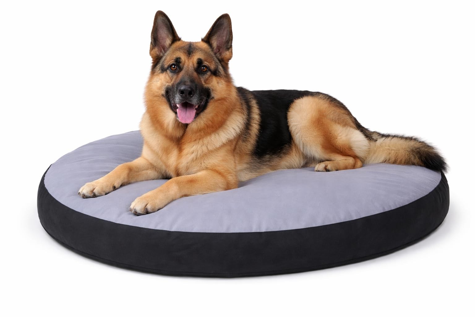 Coussin Flamingo Doc Bed orthopédique et déhoussable 100 x 75 cm pour chien