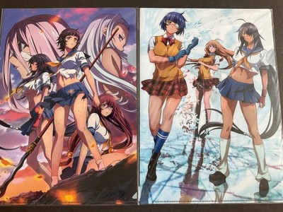 Ikki Tousen - Clear File Lot x2 - Anime Bikini Japan Western Wolves 2019