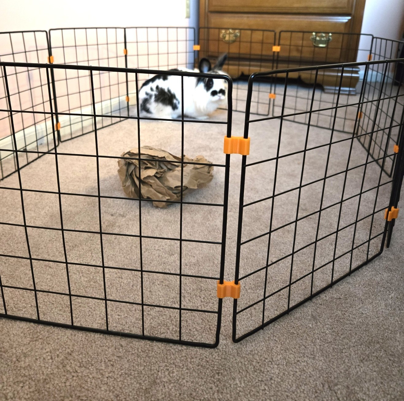 HopStop™ Wire Cube Connectors – Create Custom Play Areas for Small Pets