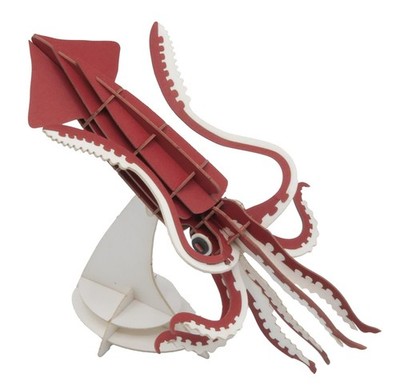 Fridolin 11743 Modello di carta 3D - calamari