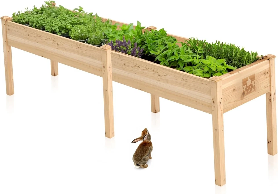 Cama de jardín elevada con patas 72x23x30 - Maceta elevada de cedro Foto 4 de 4