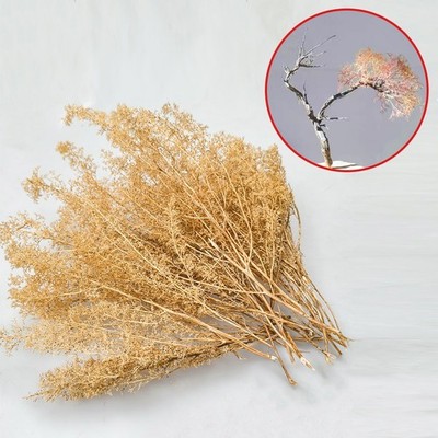 Dried Kochia Branches for Scale Model Making - Fine-Branched Foliage for Model