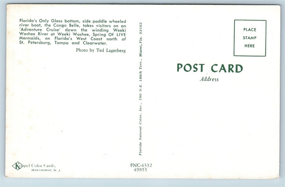 Postcard FL Weeki Wachee Glass Bottom Boat Congo Belle Paddle Boat Tour
