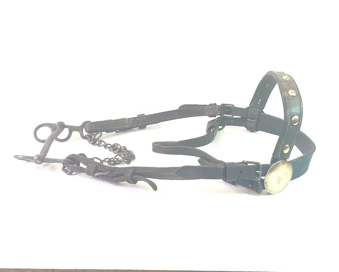 Marjoman distribucion Bride à double rêne avec snaffle et mors Noir| Horse-riding