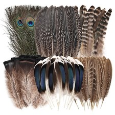 Natural Feathers Bulk - 55PCS - 6 Styles Assorted Feathers, 6