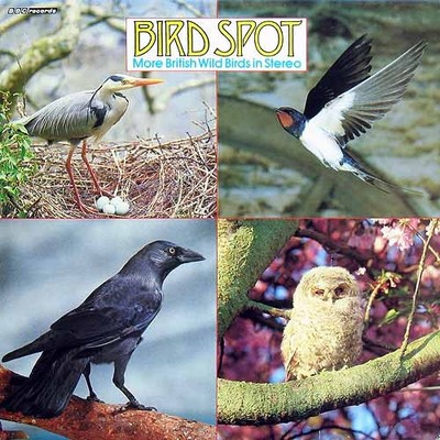 David Tombs, John F. Burton, Margaret Reese, Mike Smythe* - Bird Spot - More Bri