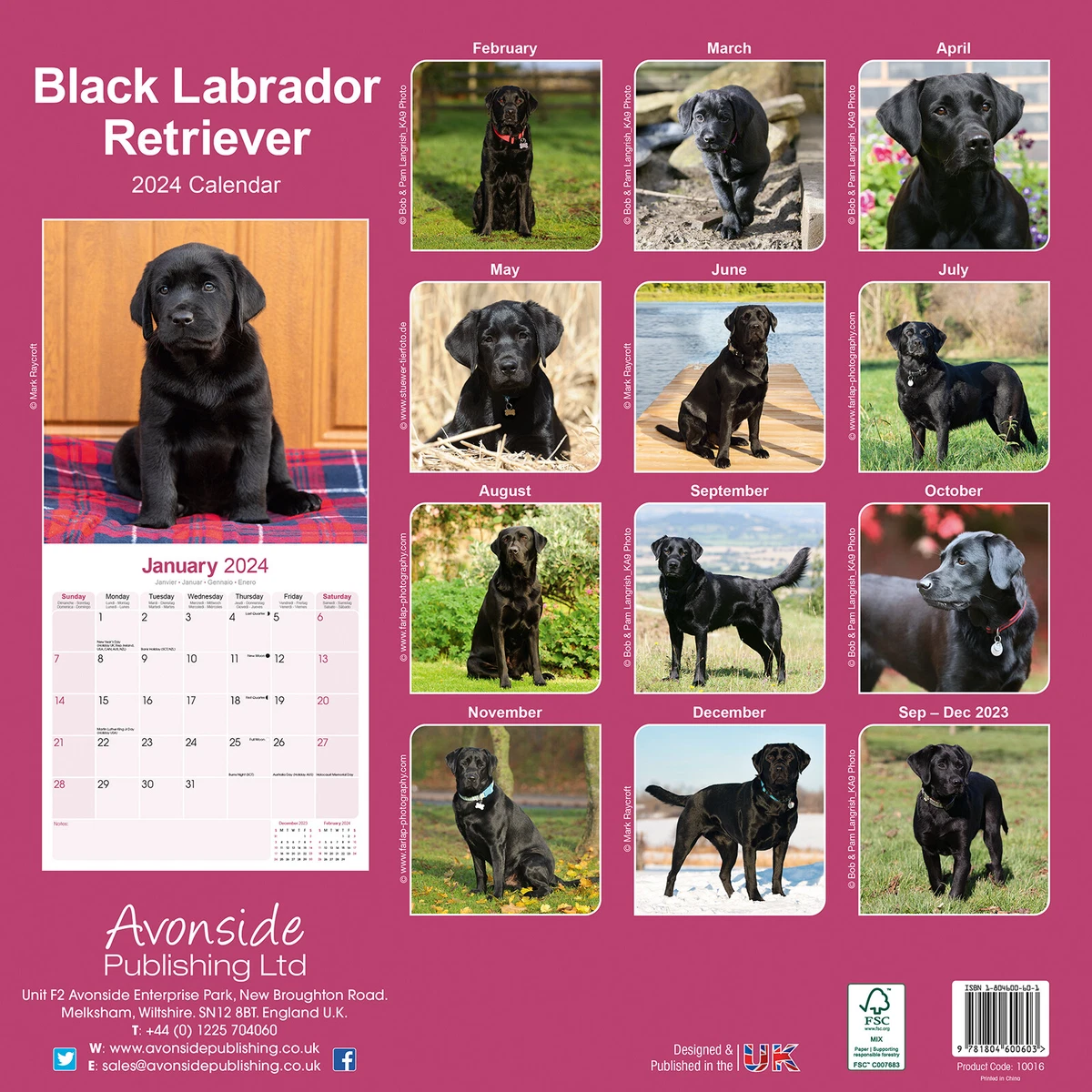 Black Labrador Retriever Calendar 2024 Dog Breed Wall 15% OFF MULTI ORDERS!  | eBay